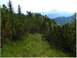 Planina Loka - Kup (na Raduhi)